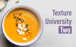 exture University module 2 – Formulating With Cook-Up Starch Thickeners