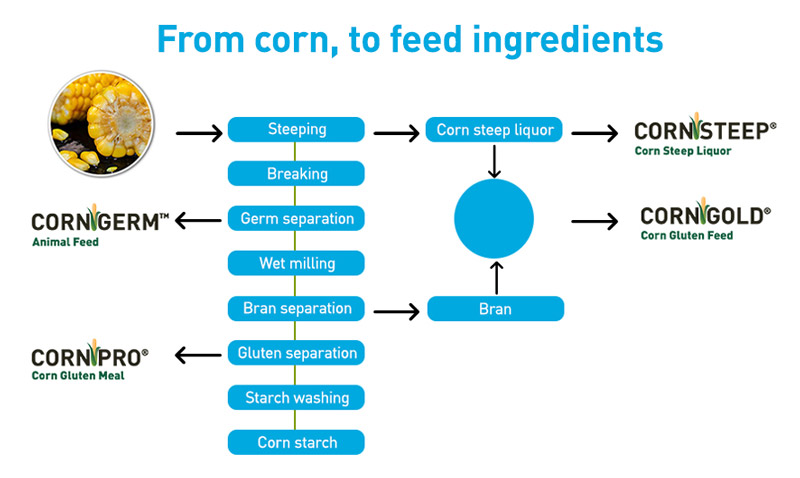 Corn to feed process graph