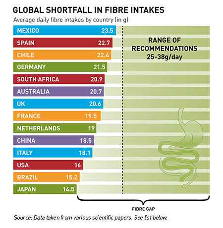 global shortfall in fibre intakes