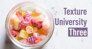 Texture University module 3 – Formulating With Instant Starches